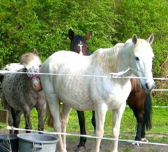 Sous Les Marronniers 3*